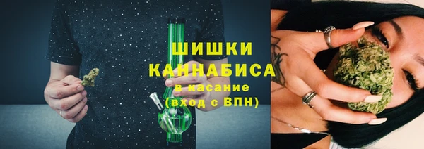 индика Аркадак