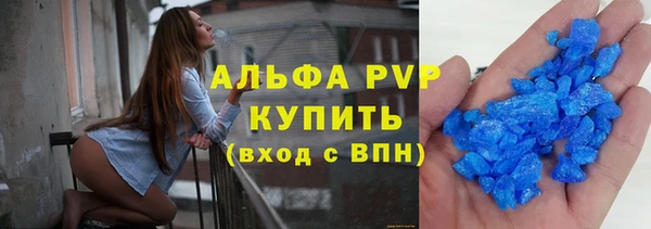 индика Аркадак