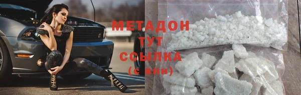индика Аркадак