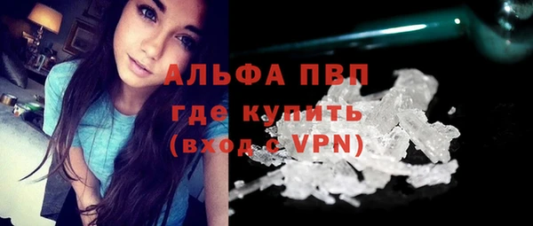 индика Аркадак