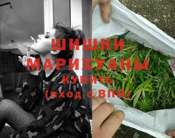 индика Аркадак