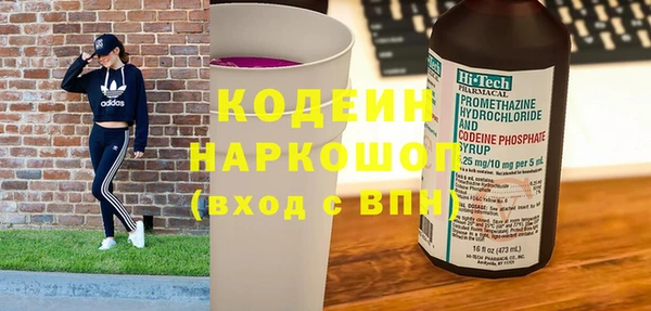 индика Аркадак