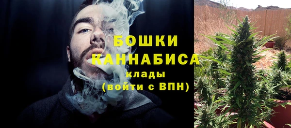 индика Аркадак
