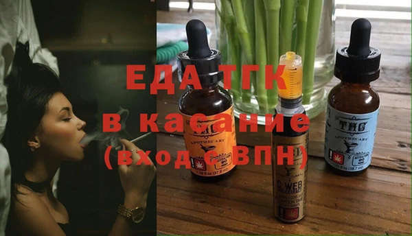 индика Аркадак